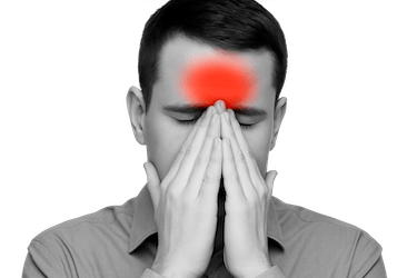 Especialistas en cada área