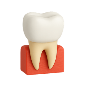 Corona de disilicato